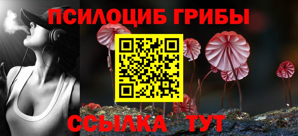 Псилоцибиновые грибы Magic Shrooms Хабаровск